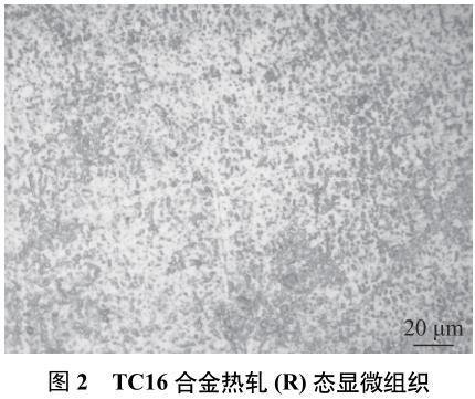 1688356810403242.jpg 360截圖166206098982128.jpg