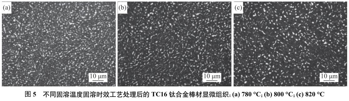 1688356938121401.jpg 360截圖16330101111133125.jpg