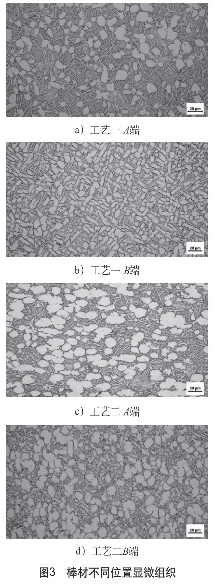 1704705289140322.jpg t3.jpg