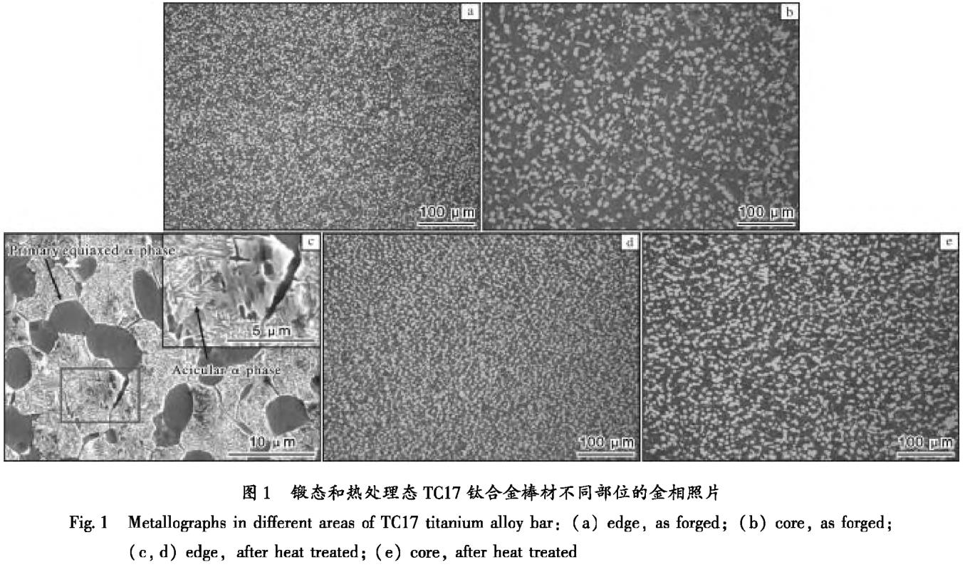 1704769324616089.jpg t1.jpg