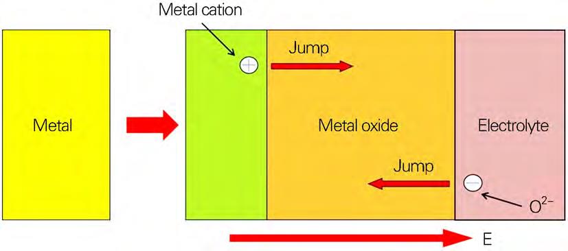 1708901547720331.jpg t5.jpg