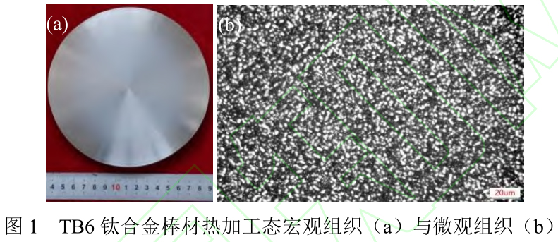 1715515466132201.jpg t1.jpg