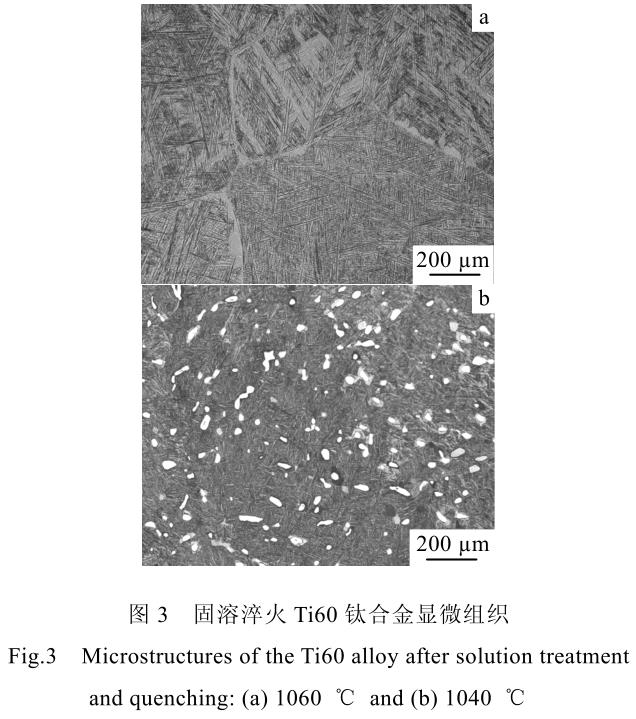 1716176680680901.jpg 360截圖16480306716462.jpg