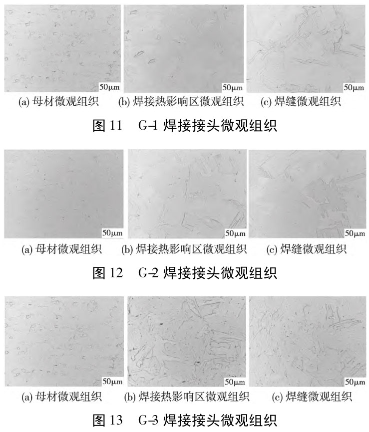 1717411113652060.jpg t11-13.jpg