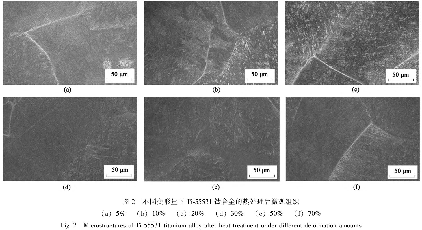 1721796257879503.jpg t2.jpg