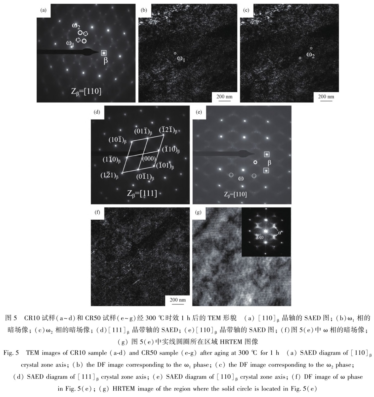 1728126498769380.jpg t5.jpg