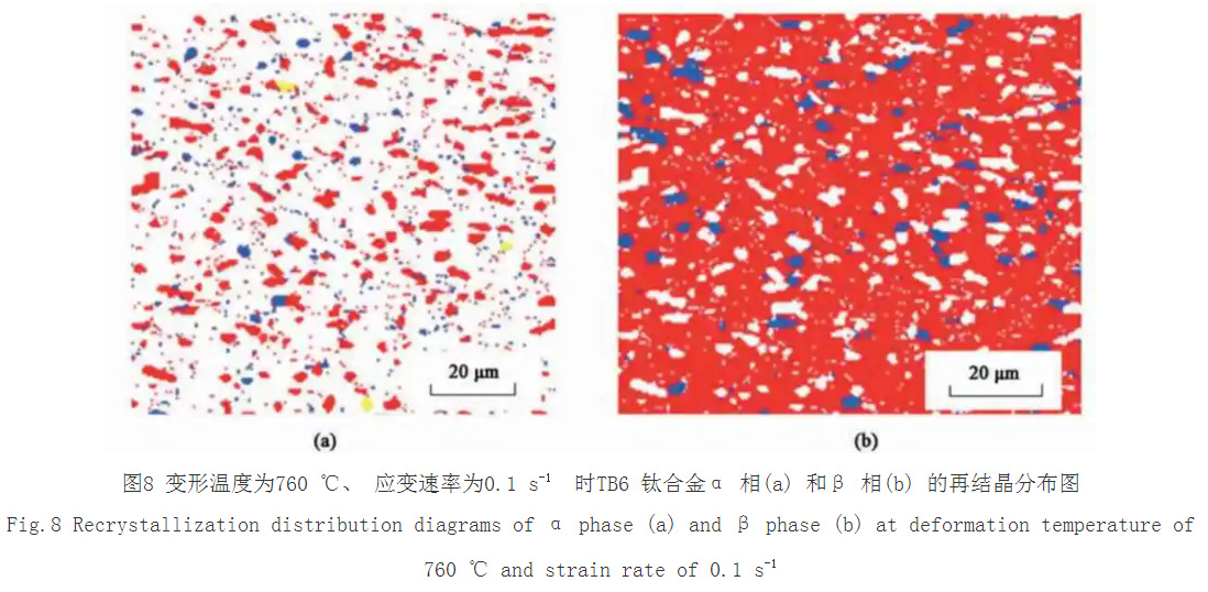 1733576709919191.jpg 8.jpg