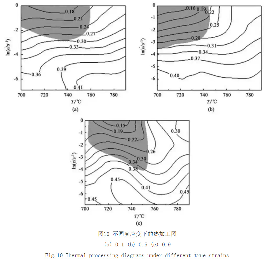 1733576731267978.jpg 10.jpg